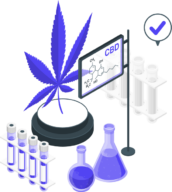 CBD SEO Service