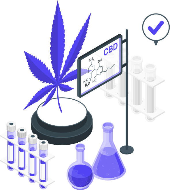 CBD SEO Service