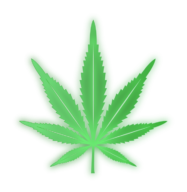 Dispensary SEO Services