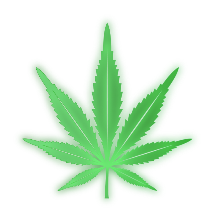 Dispensary SEO Services